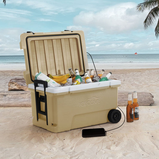 Beach Supply Package